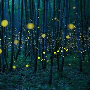 骚逼里面要大吊
