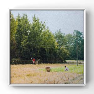 骚逼里面要大吊
