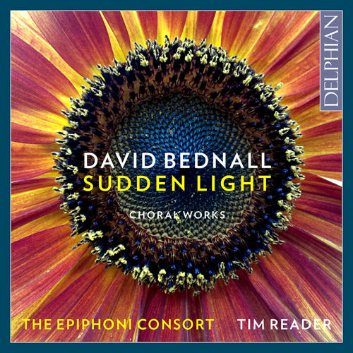 骚逼里面要大吊
